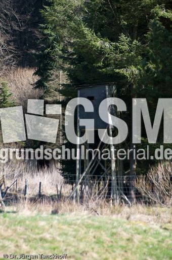 Hochstände (56 von 154).jpg